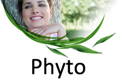 phyto